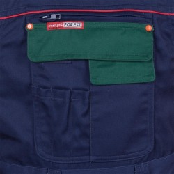 Spodnie ochronne ogrodniczki - REIS FOREST - Spodnie robocze z szelkami #2